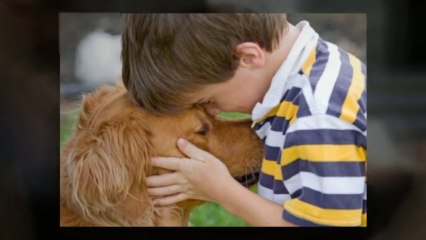 Understanding a Residential Property Maintenance Company Duties