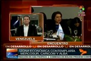 Mercosur evalúa en Caracas el diseño de una zona económica