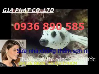 Doi son sua nha cu o tai quan 1 HCM-sky/0936 890585