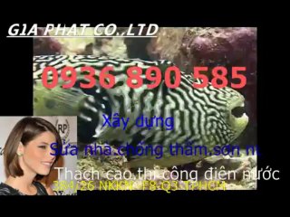 Doi son sua nha cu o tai quan 2 HCM-sky//0936 890585