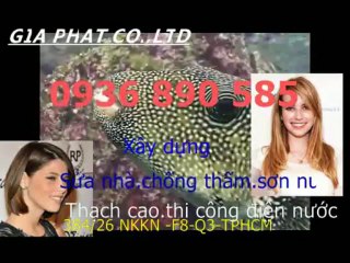 Doi son sua nha cu o tai quan 3 HCM-sky/0936 890585