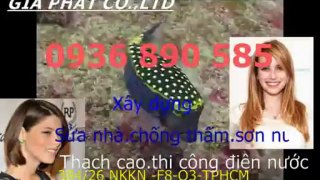 Doi son sua nha cu o tai quan 8 HCM-sky//0936 890585