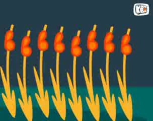 ΕΝΑ ΓΡΑΜΜΑ ΜΙΑ ΙΣΤΟΡΙΑ - Ο Βιολιστής Βάτραχος (Β)