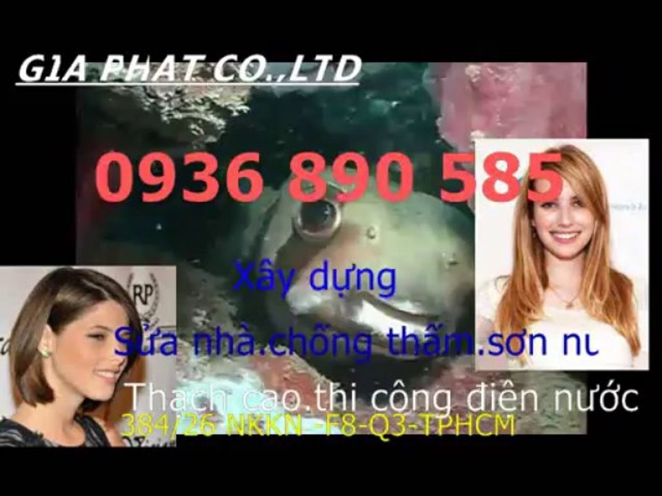 Doi son sua nha cu o tai quan tan binh HCM-sky/0936 890585