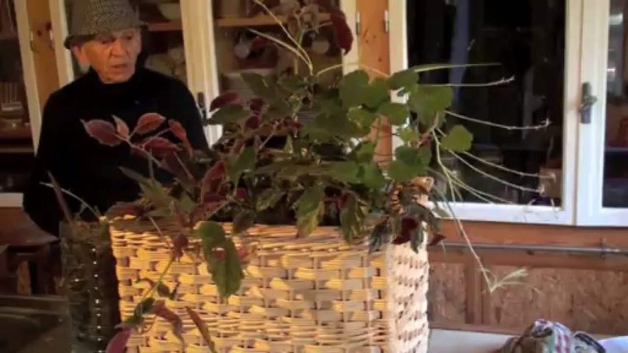 Jardinage et rentrée de septembre