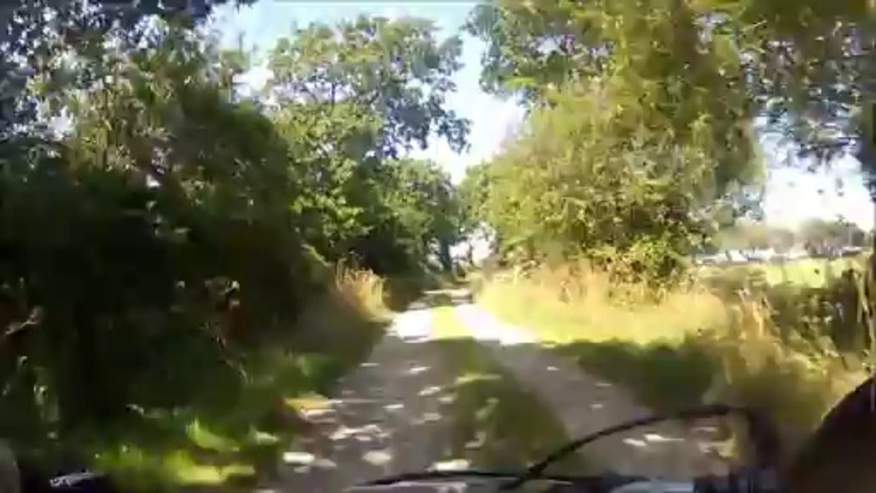 dirtbike 140 piwi 80