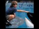 Dvix SoundMusic - Music from Free Willy (1993)  -Connection - Remix BO film Sauvez Willy By Dvix