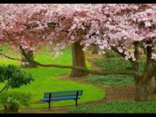 OSEIAS  CAP 6  - A BIBLIA NA LINGUAGEM DE HOJE