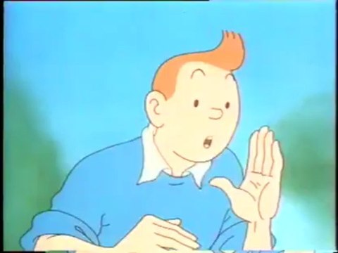 Tintin Margarine Fruit d'or Tournesol - Présentation - 1986