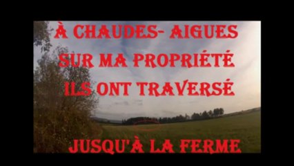 Un cerf de plus de 200 kg