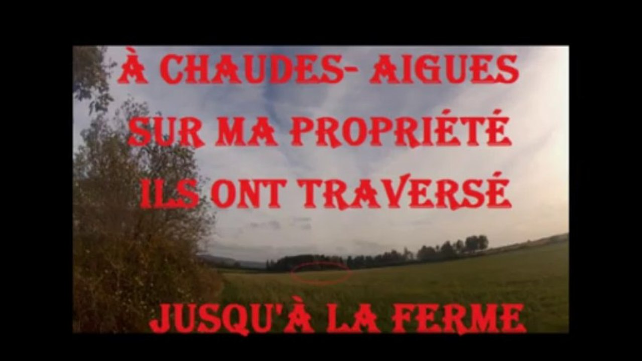 Un cerf de plus de 200 kg