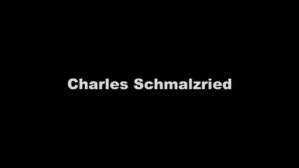 Charles Schmalzried Wordpress