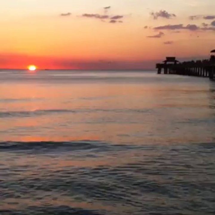 Naples Pier dolphins in the sunset...