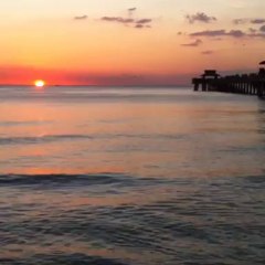 Naples Pier dolphins in the sunset...
