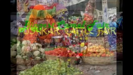 Activity in Camel Fair Pushkar