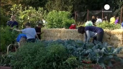 Michelle Obama e Muppets per far mangiar verdura ai baby Usa