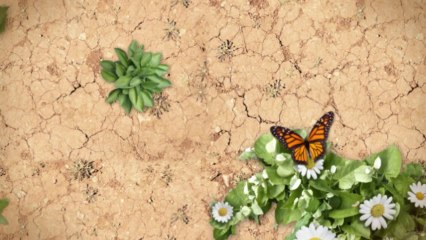 Okotoks Mortgage Rates