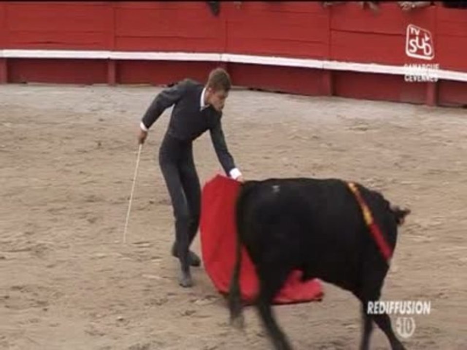 Tendido Sud du Mercredi 30 Octobre 2013 - Partie 1