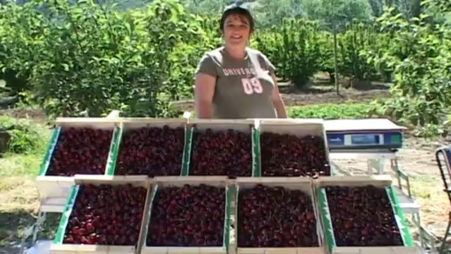 Agriculteur, un métier aux multiples facettes