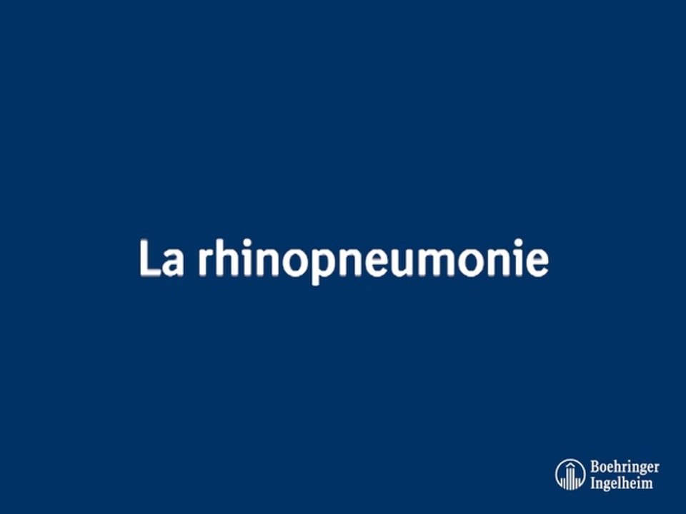 La rhinopneumonie