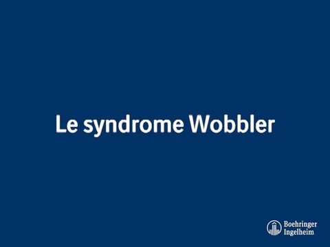 Le syndrome Wobbler