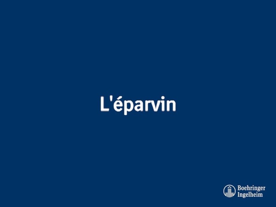 L'éparvin