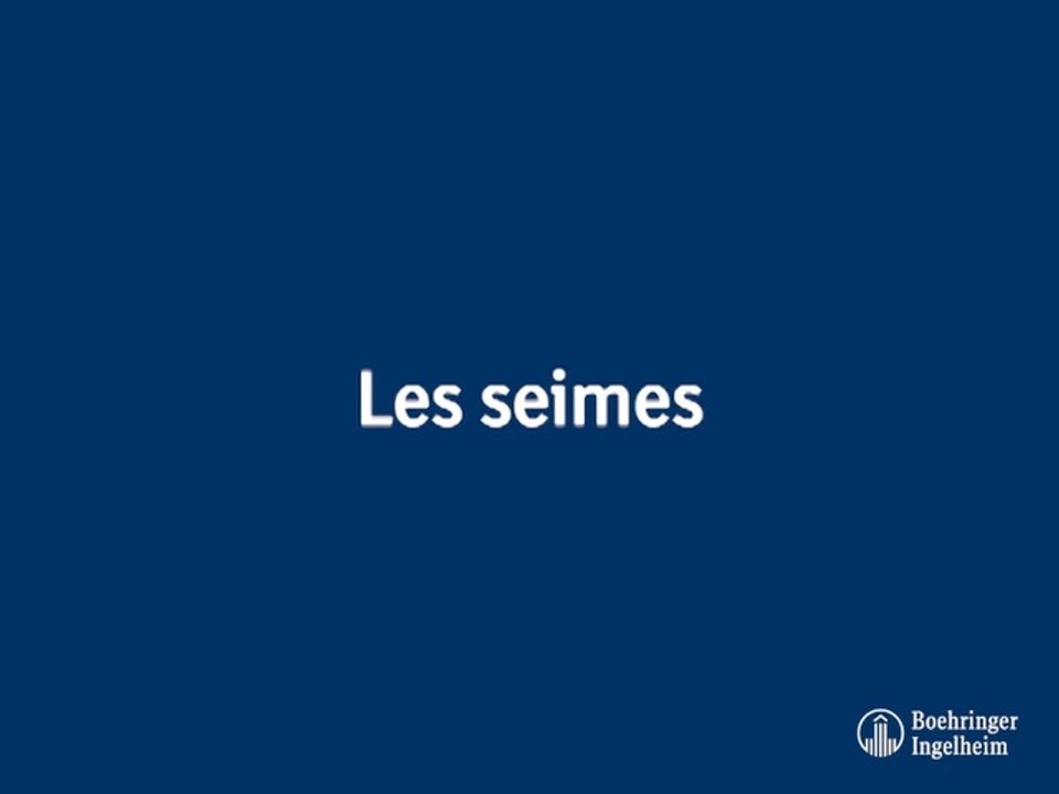 Les seimes