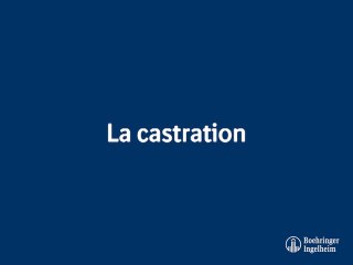 La castration