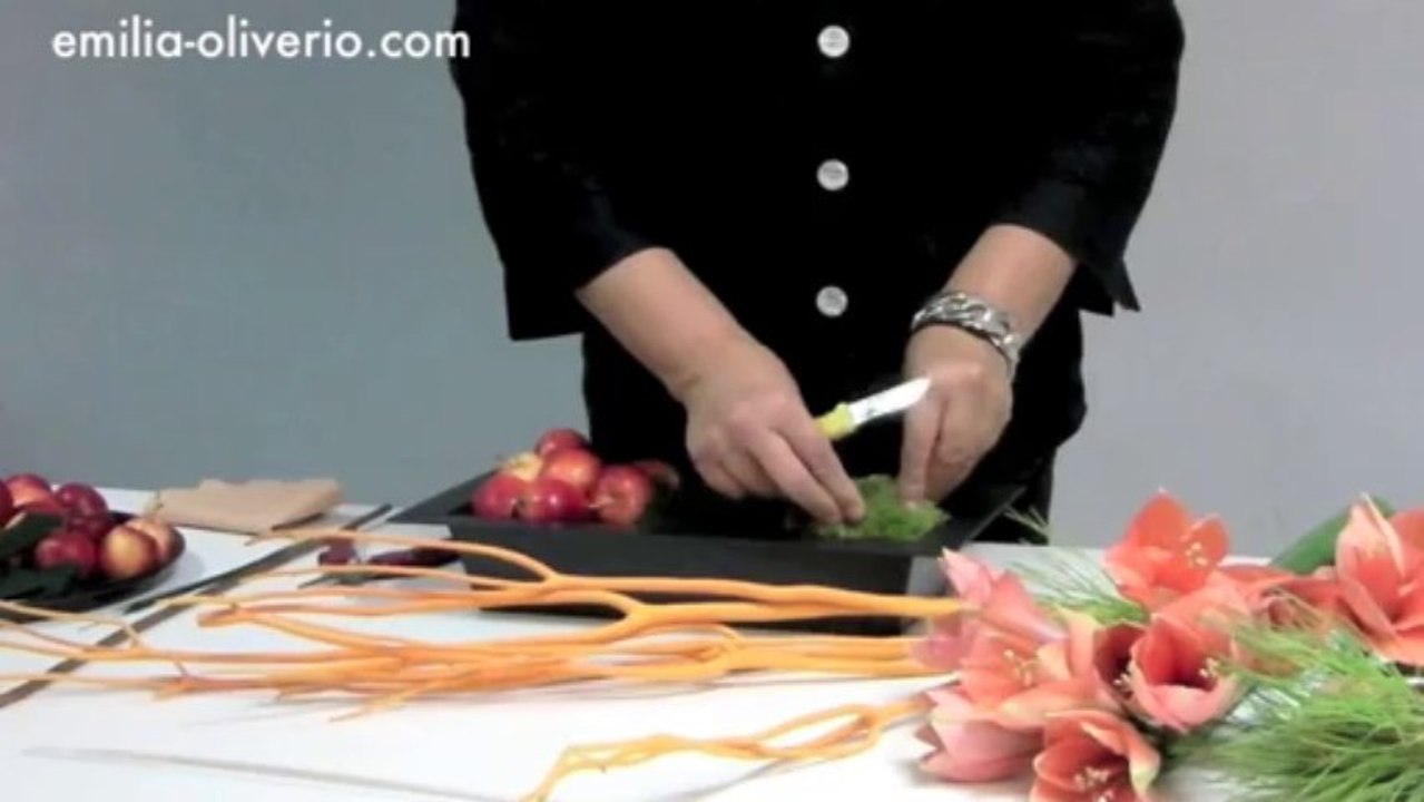 Composition d'Amaryllis