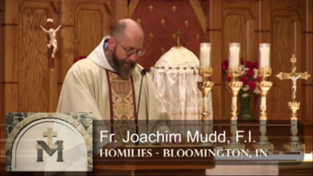 Oct 31 - Homily: On the Way to Calvary