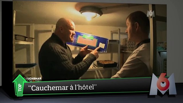 Top Média : Ippo, cet animal étrange qui fait le buzz