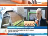 5. Akhisar Zeytin Hasat Şenliği, Samanyolu Haber, Belediye Başkanı Salih Hızlı Canlı Yayın Bağlantısı