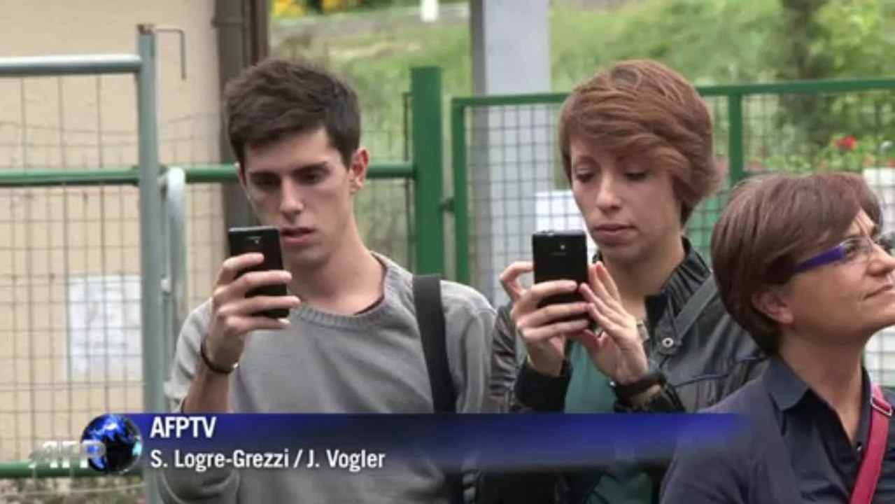 Halb esel, halb zebra: seltener zesel hat zahlreiche fans