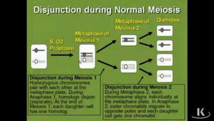 medical genetics NumChroomAbnormals