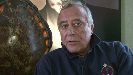 Le come-back des papys de la mode