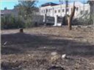 قطع أشجار المتنزهات من أجل التدفئة بحلب