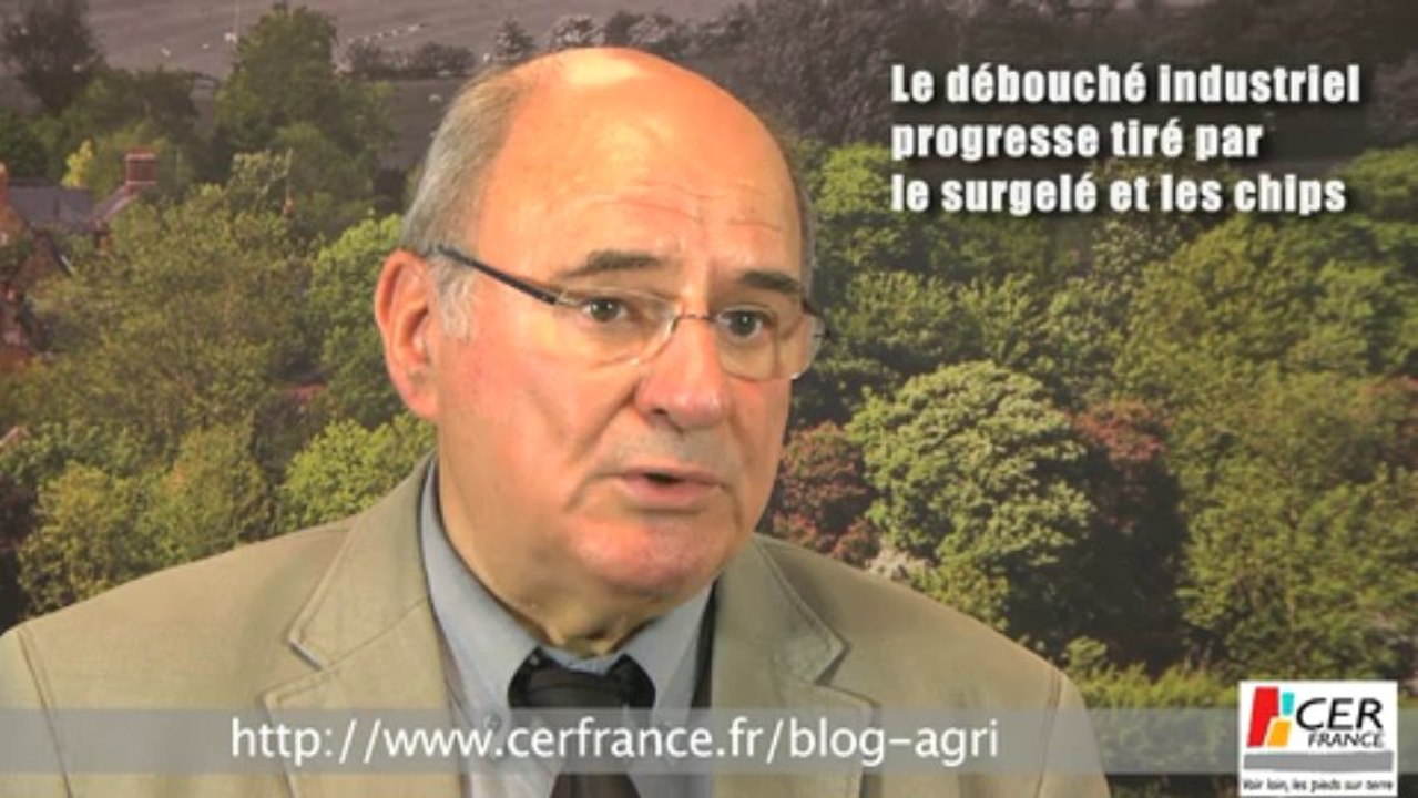 Pommes de terre : La France a de bonnes raisons d'être optimiste ! par Pierre-Yves Lelong