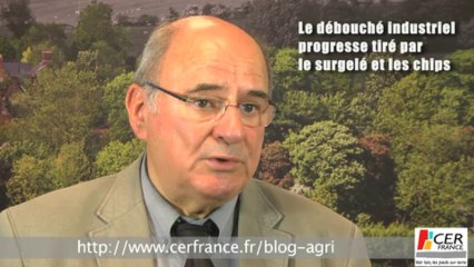 Pommes de terre : La France a de bonnes raisons d'être optimiste ! par Pierre-Yves Lelong