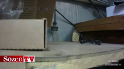 Bir sıçandan daha fazlası!