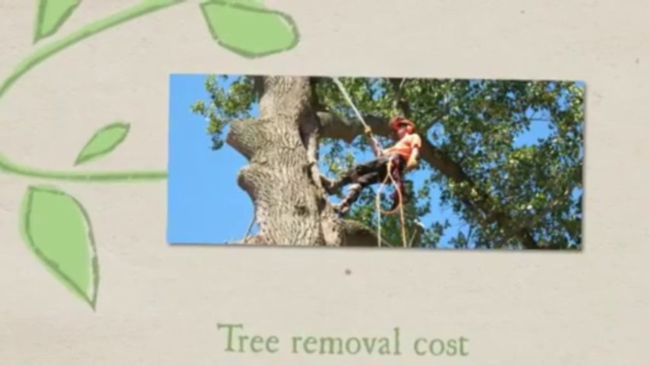 Tree service Professionals