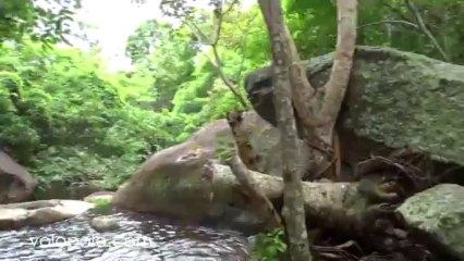 Huay Yang Waterfall National Park I