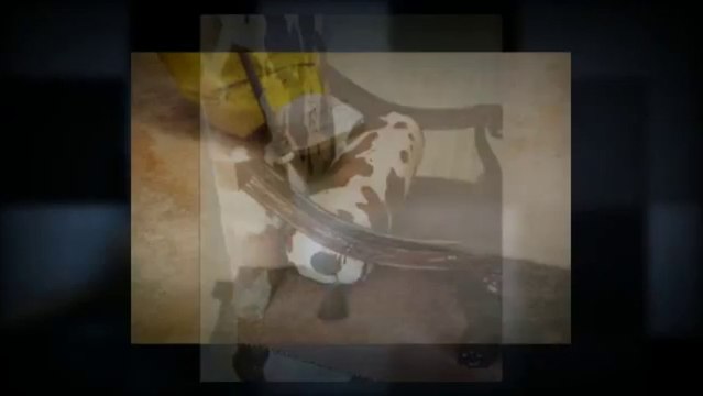 Clean Pros Carson (310) 504-2910