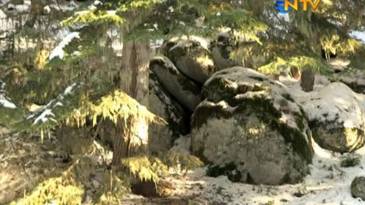 Doğada Tek Başına - Serdar KILIÇ - Mucize Dönüş 12.03.2011