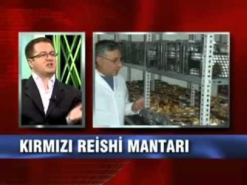 Ölümsüzlük Mantarı Nedir-Reishi Mantarının Bağışıklık Sistemine Faydaları