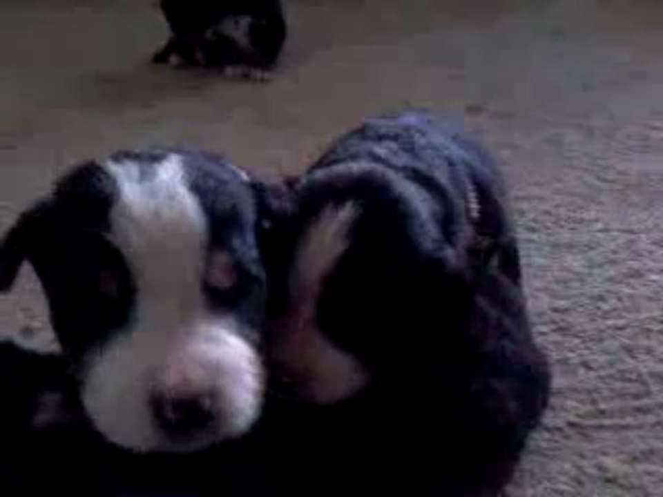 Vidéo-0001