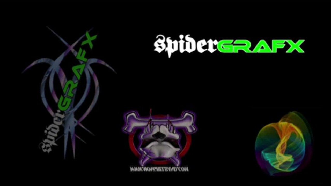 Spidergrafx Tampa Web Design