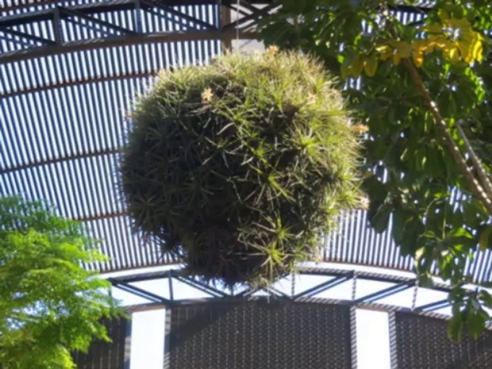 espagne juillet 2012