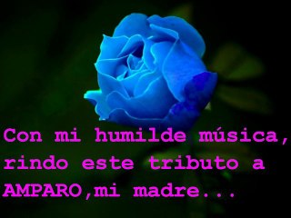 A Amparo,la mujer que tenía los ojos de color azul-grisáceo...