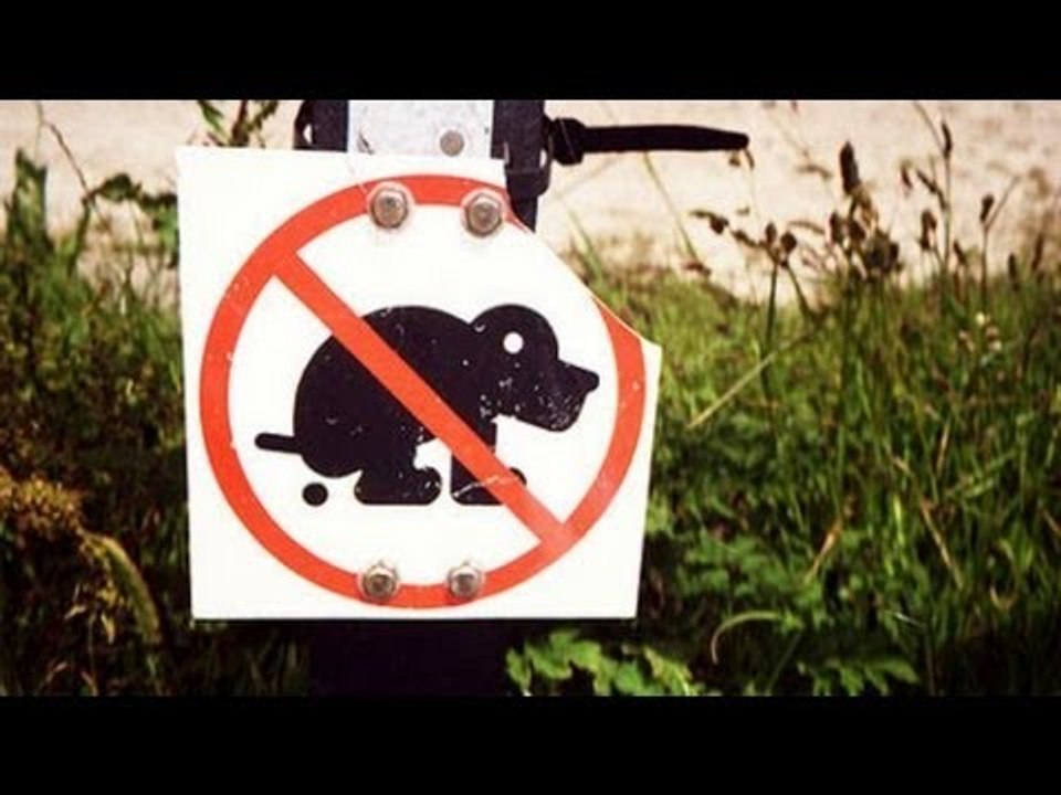 Spain town mails dog poop back to owners