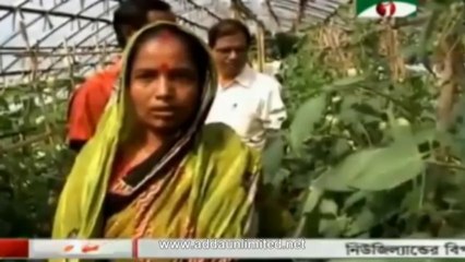 Channel i News 01 Nov 2013 (BD 7:00 AM)